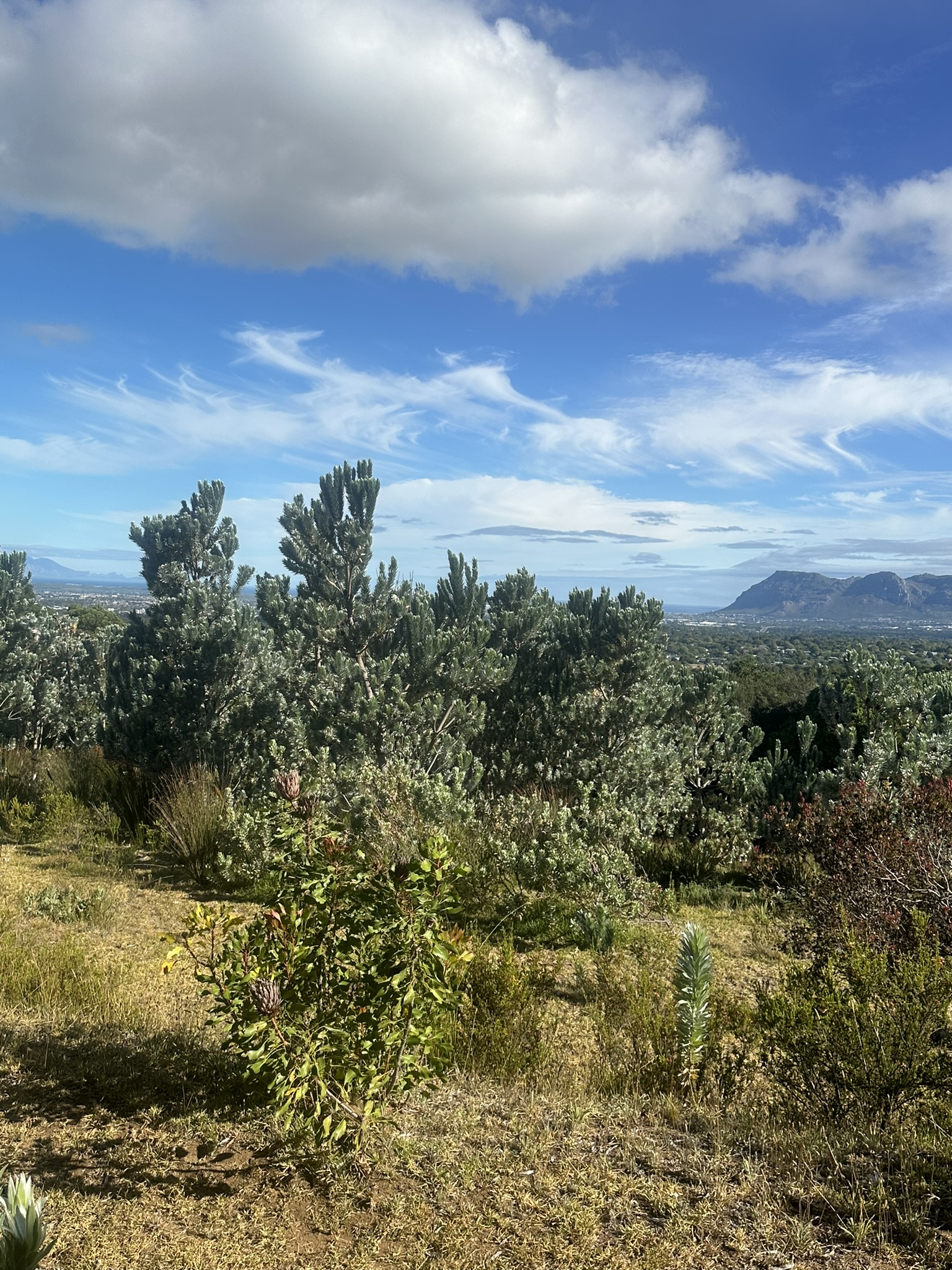 South Africa - Image 600